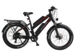 Free Shipping USA Warehouse Spot Best 48v 750w Aluminum Alloy 120km Long Range  Fat Tire Mountain E Bike Ebike Electric Bicycle